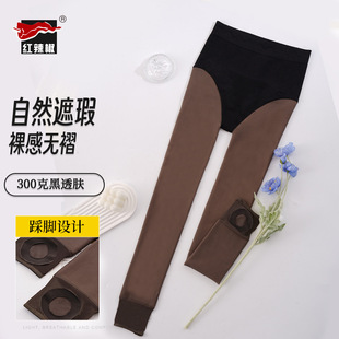 �t�����ﶬŮʿ��͸�w���ѝ300�˼ӽq�Ӻ�����ո����β��_�m��