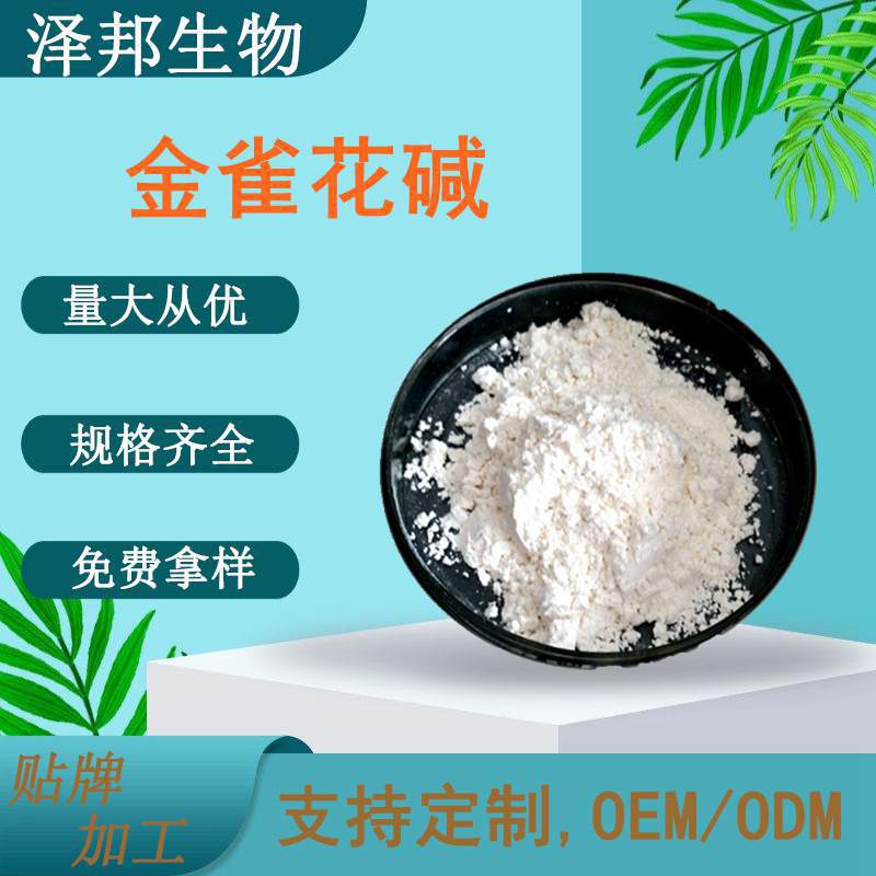 金雀花碱实力工厂鹰爪豆碱供应98%现货包邮泽邦