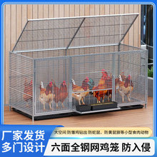 加厚网鸡笼大号加加密链条探头吃食农村户外防蛇鼠鸡鸭鹅家禽笼