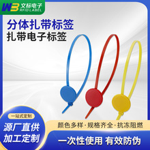 分体扎带一次性封条塑料扎带铅封集装箱 RFID扎带电子标签NFC213