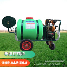 农田160L农作物打药机果园梨树打药机价格 汽油柴油喷药机