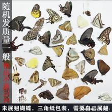 ˱˱δչ3Ǵbս̾µԭδչ