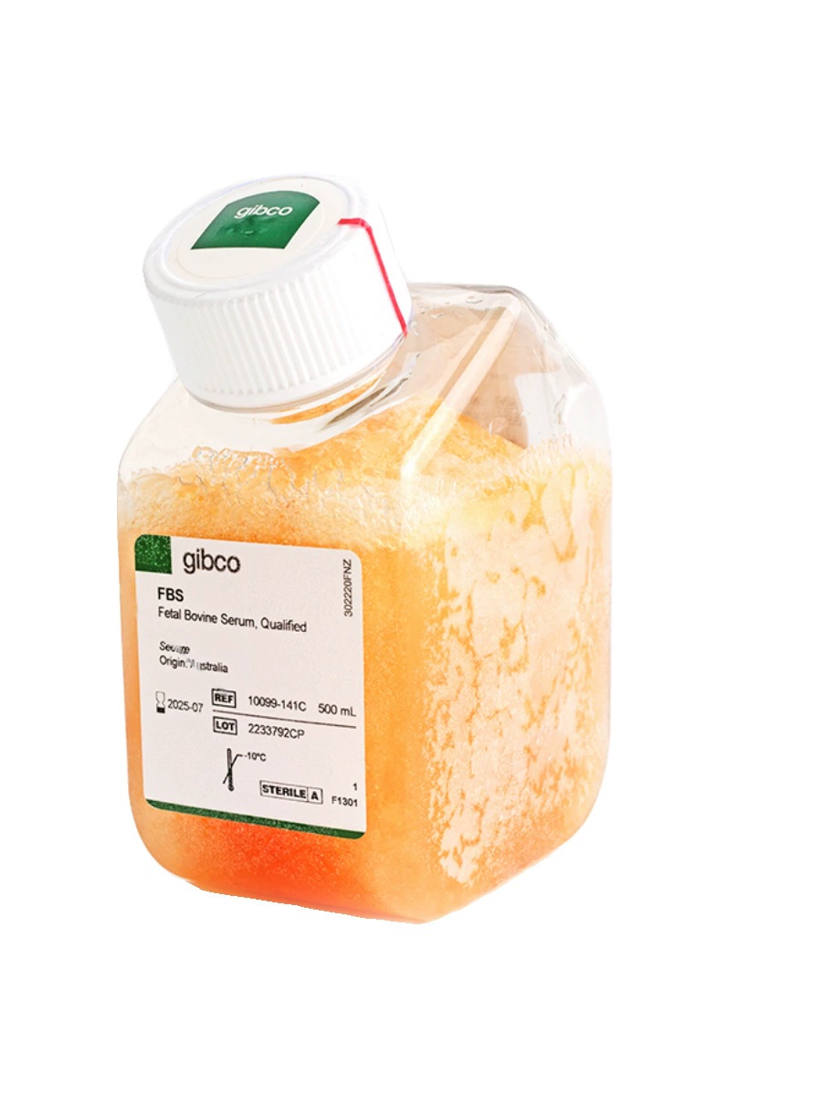 Фетальная буйволиная сыворотка Gibco Australia/New Zealand 10099141C 500 мл
