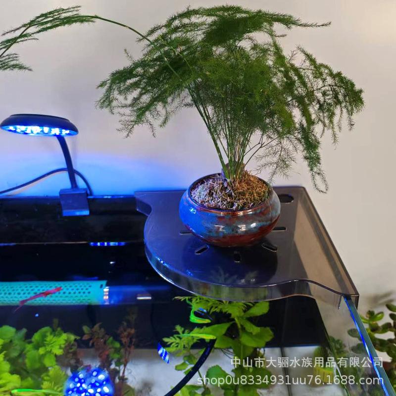 Estante de esquina superior de la pecera, placa de alimentación de la pecera, almacenamiento de algodón, bandeja de la pecera, estante de paisajismo de plantas