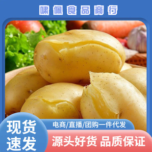 ���C��������9����]2025���r�F���S��ɳ���R��������r���ԷN