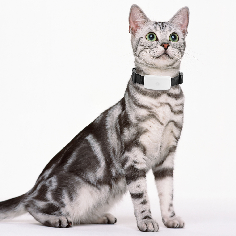 Wifi+Gps+Lbs Positioning Adsorption Charging Tk911 Pet Cat and Dog Gps Tracking Locator