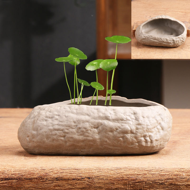 Imitation stone non-porous copper money grass special size ceramic flower pot household bonsai daffodil water culture ware clearance wholesale Imitation stone non-porous copper money grass special size ceramic flower pot household bonsai daffodil water culture ware clearance wholesale