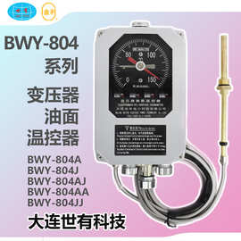 BWY804 变压器油面温度计 油面温控器 大连世有 仪器仪表 国产