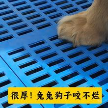 狗垫子脚垫狗笼子专用加厚垫板散热板兔笼猫笼宠物垫可拼接不卡脚
