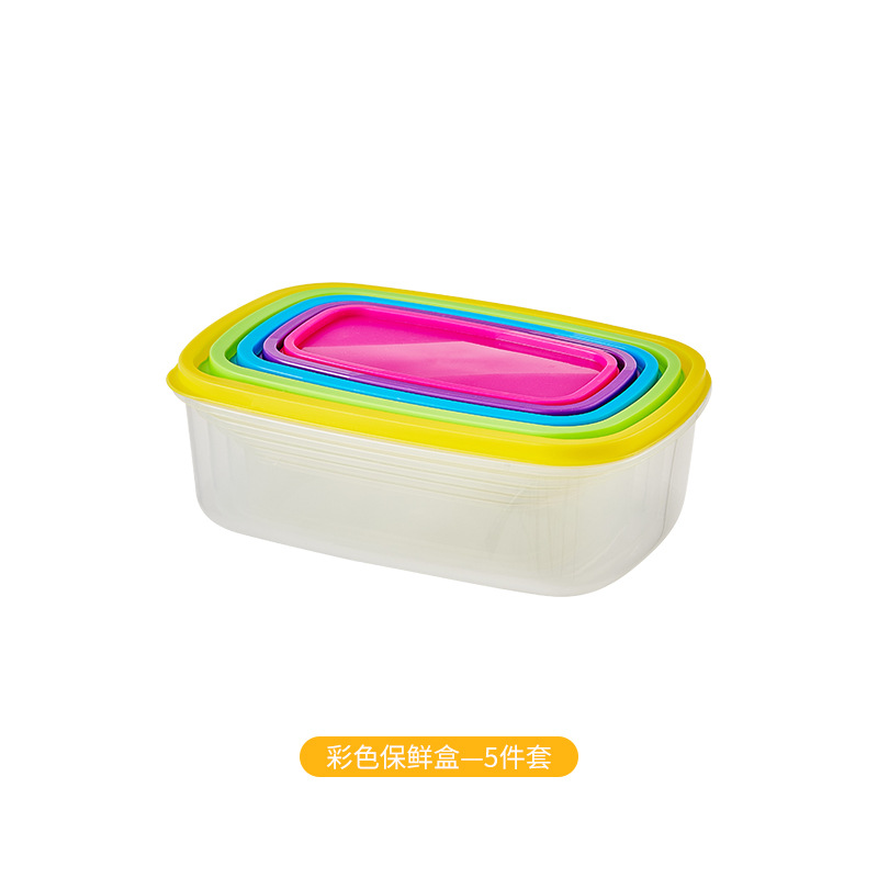 직사각형 5 종 세트