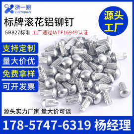 标牌铆钉 铝铆钉GB827滚花铭牌铆钉半圆头扁头商标铆钉M2M2.5M3M4