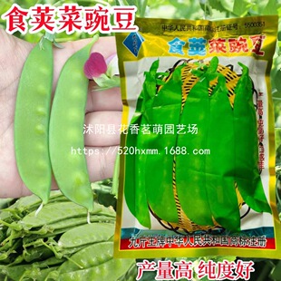 ��߅�t ����ⶹ�N�Ӹ߮a���������ļ��tɫü���߲˷N��÷��