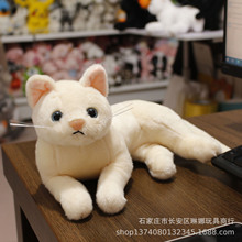 ����؈����żë�q��߹��пɐۄ�����˯�XС؈��ż����ſſ؈