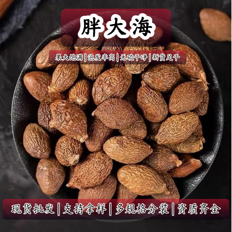 Fat Sea Seed Pang Da Hai 500g Sterculia Seed for Throat Soothing Herbal Tea Loose Bulk key features