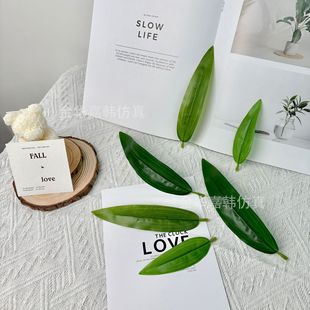���m�~�����~������������滨����Gֲ����ٺ��~������~