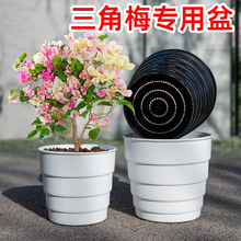 ���P����÷���ÿظ������֬����͸���ش�̖�m���~�Ӽt���Ϙ��辰