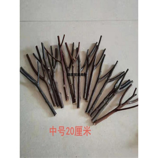 Kindergarten Handmade Natural Bundle Decoration Branch Branch Development Intelligence DIY Flower Arrange Tree Bark Wooden Stick Dried Cute Yan