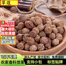 lޢ500gϮaعݶޢϿݿʳu{ζFĥޢ