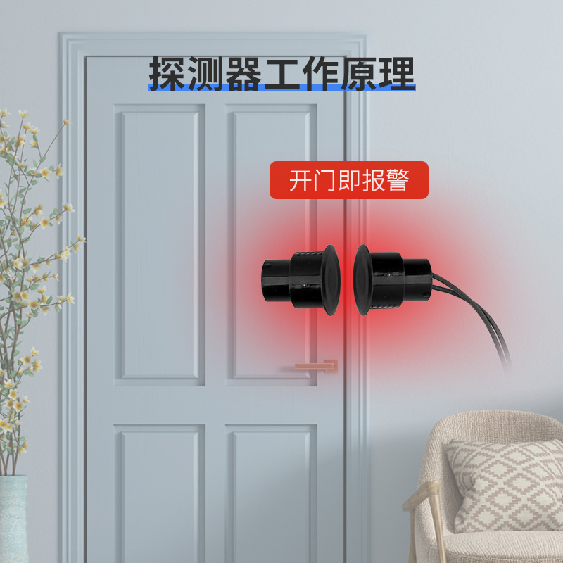Iron Gate Magnetic Alarm Sensor Home Switch Cross-border Wired Anti-theft Embedded High Decibel Collision Door and Window