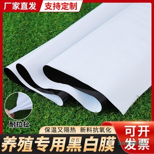 Imported thickened black and white film culture greenhouse film sunscreen anti-aging edible fungus shading cooling black and white film reflective film