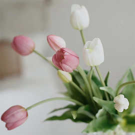郁金香花客厅餐桌摆设假花野餐花拍摄装饰花仿生绿植