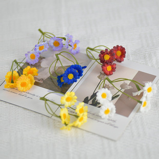 ��ɫ��ʾ�С�r�շ��滨�^diy�ֹ����L���^�������ϰ�����b�