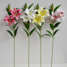 ���滨�zƬ�ָаٺϻ��ٻ���c�Ҿ��b���ֲ��������Բ廨���l