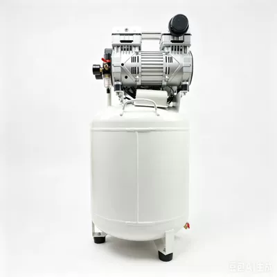 TUGPT Vertical 60L Small Hava kompressorları