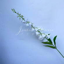 СinsL滨m廨زĸƷ|L⏼ٻSҶ