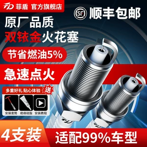 Feidian Yüksək Performanslı Şam Baic New Energy EC200 EC180 EC3 EC5 EC220 üçün