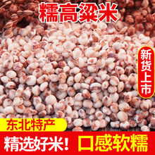 新糯高粱米 农家去皮高粱米 红高粱 粘黏高粱米杂粮粗粮1斤3斤5斤