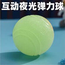 批发爆款宠物夜光球玩具互动磨牙训犬球玩具夜晚发光狗狗玩具外贸