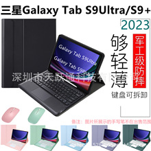 m Samsung Tab S9 Ultra 14.6/Tab S9 PlusP{IPƤ