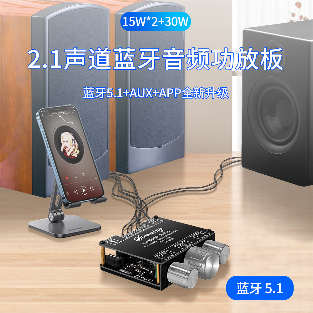 YS-E30H 2路15W+30W 蓝牙功放板（带APP）