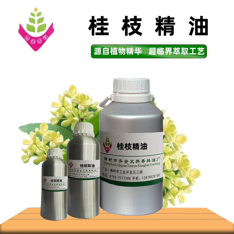 桂枝精油 源头工厂单方植物超临界CO2萃取 外用脂溶原料 50ml