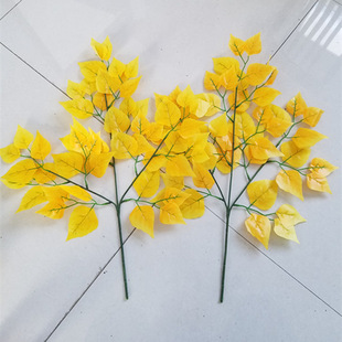 ����ט���~�Ř��~�t�����~�y�Ә�֦�@ˇ�Gֲ��@�ֽ����ɻ��b�