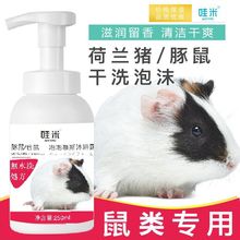 豚鼠荷兰猪松鼠花枝仓鼠兔子龙猫小宠沐浴露香波干洗泡沫免水洗