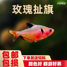 �tõ�島���~�t�󹴼t���β���~��ˮ�~С�͟Ꭷ�^�p�~���B���w