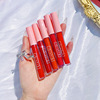 Lip gloss, matte set, 10 pieces, suitable for import, translucent shading