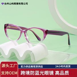 太阳镜;框架眼镜;眼镜盒/包