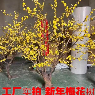 ����÷������ͷ�÷���S÷���t÷��÷�D÷�����깝���S��b�