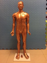 390��ѧ�������ͭ��84CM��ͭɫѨλѵ��ϰģ���˼���ģ����Ƥ��