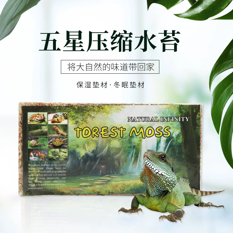 Сжатый сухой мох, сухой мох, водные растения, коврик для зимовья рептилий, черепах и змей, коврик для черепах с орхидеями, привитыми дендробиумом