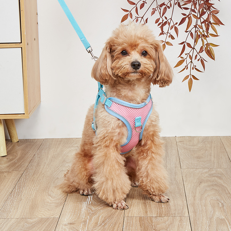 Nuevo cinturón de pecho de mascotas chaleco cinturón de perros respirado perros de verano cuerda de tracción para perros artículos de mascotas