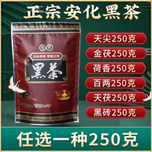 黑茶叶正宗安化黑茶湖南安化金花茯砖天尖千两黑砖6种搭配