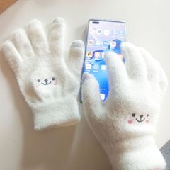 メーカーの卸売りはミンクの毛の毛の保温のタッチパネルの手袋の笑顔の刺繍のタッチパネルの携帯電話のメリヤスの手袋をまねます。