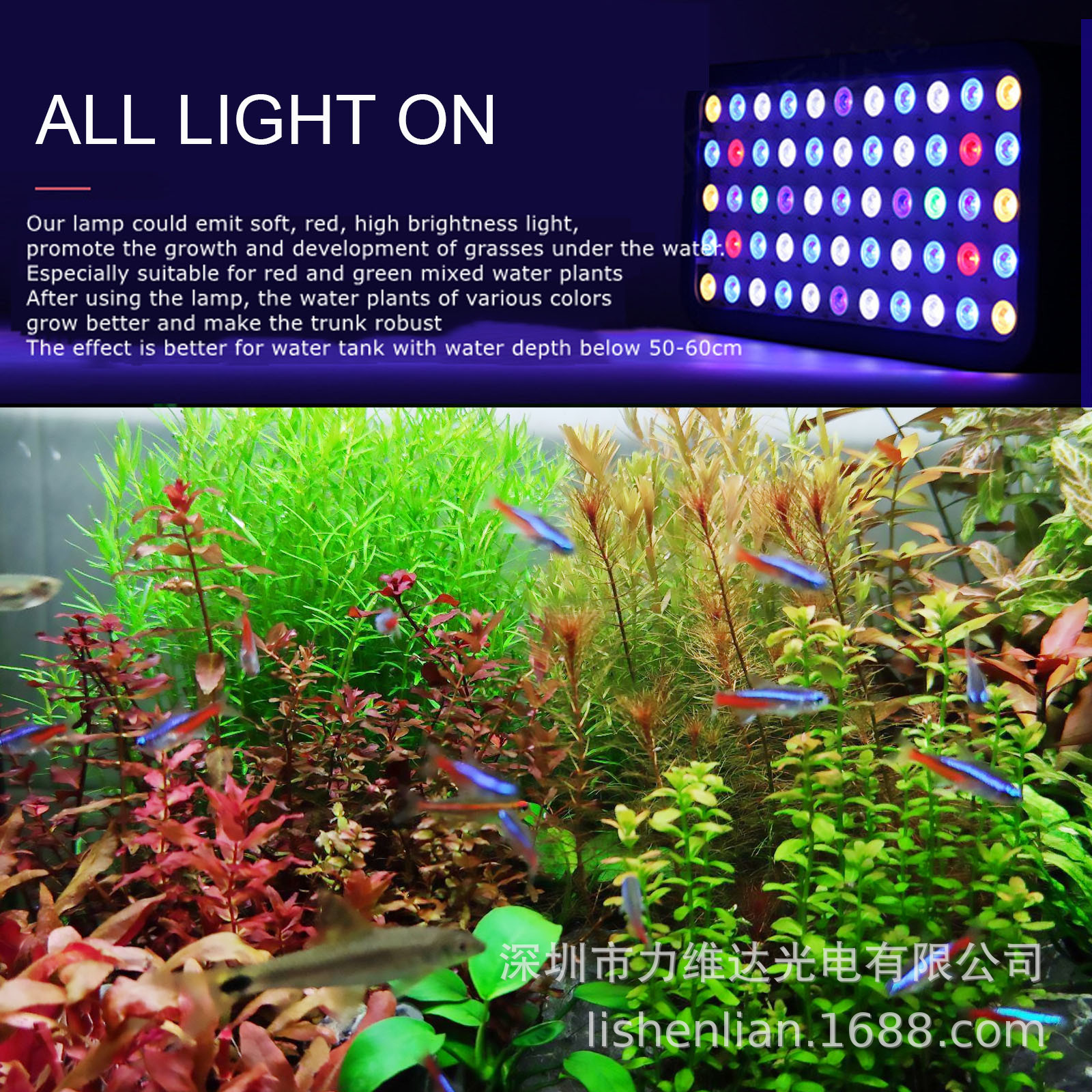 ά羳165Wȫ׵LEDˮݵɺˮ㺣ˮ׵