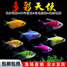 ��ʹ�~�^�p�~��Ⱥ�~�Ꭷ�~Ⱥ��С���~��ˮ�~���B�ͻ�ιʳ