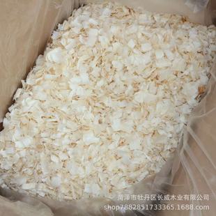 �}��ח�ľ֧���ٻ������C�ھ�}��ľм����|�ϱ�ů�ﶬ����