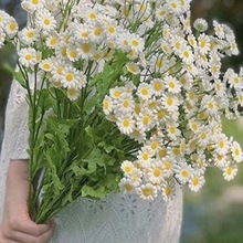 ]WWt30^֧ʾջСrսҾbյ߻